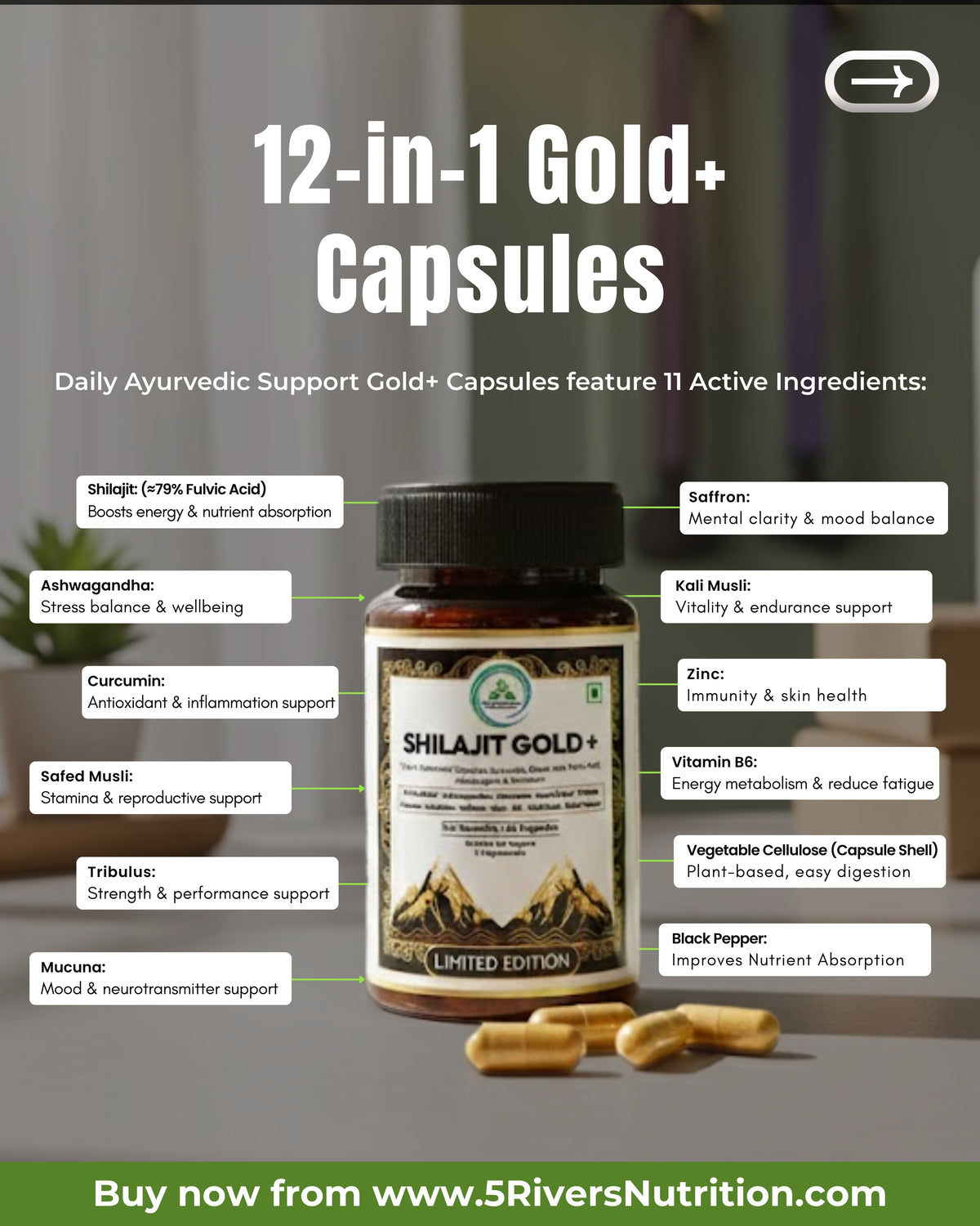Promotional graphic for Shilajit Gold+ Capsules highlighting the 12-in-1 Ayurvedic formula and 79% fulvic acid.