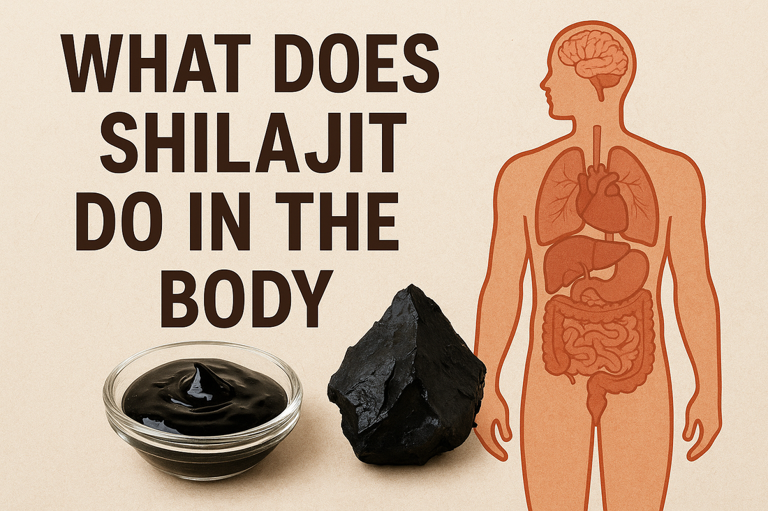 Shilajit Gold+ capsule bottle with golden light and botanicals