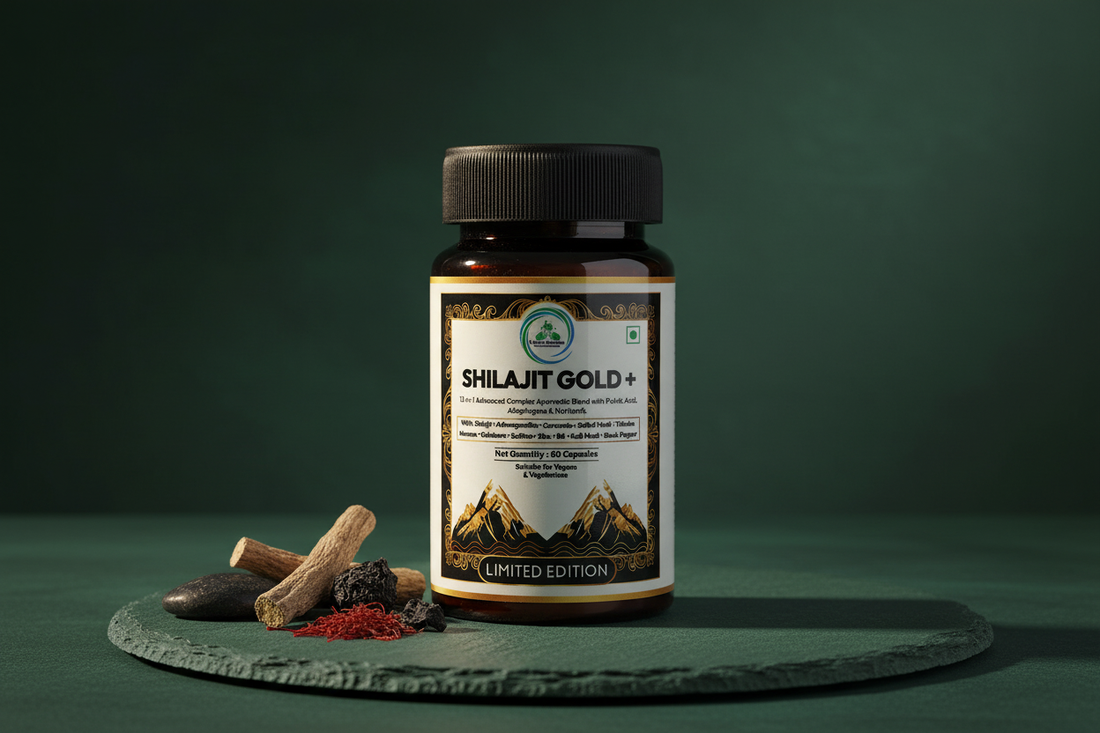 Shilajit Gold+ capsules and resin by 5 Rivers Nutrition — does Shilajit interact with medications, a responsible guide