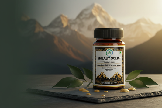 Shilajit Gold+ capsules by 5 Rivers Nutrition — premium Himalayan Shilajit for focus and mental clarity 