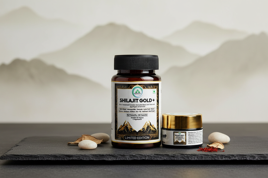 Shilajit Gold+ Capsules by 5 Rivers Nutrition on a natural stone surface — blog article on shilajit and anxiety