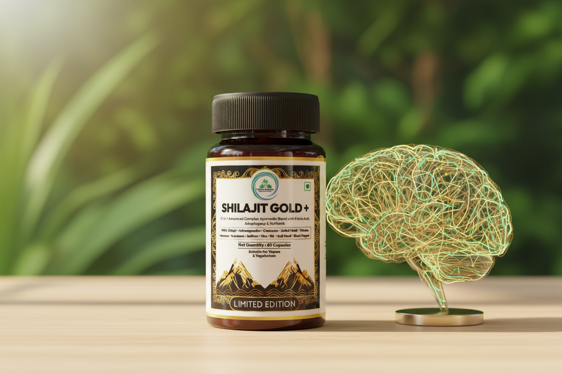 Shilajit for Brain Health and Focus