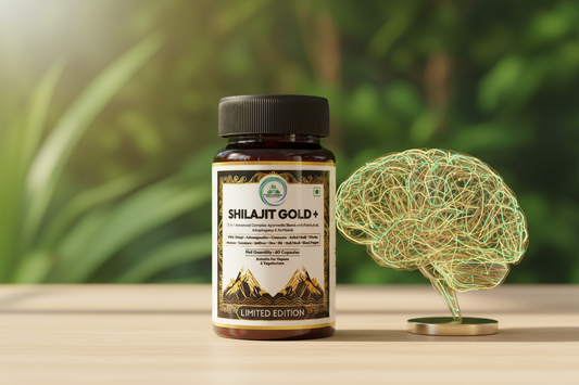 Shilajit for Brain Health and Focus