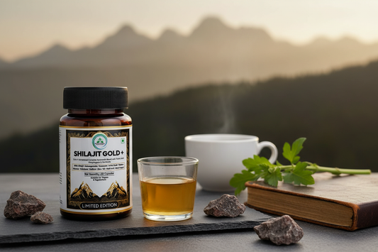 5 Rivers Nutrition Shilajit Gold+ capsules on a dark slate surface with warm golden resin drink, leather journal and mineral stones, representing male vitality and year-round energy support