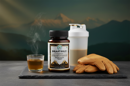 5 Rivers Nutrition Shilajit Gold+ capsules on a dark slate surface with leather gym gloves, protein shaker and warm golden resin drink, representing stamina, fatigue resistance and smart training recovery