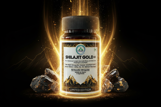Shilajit Gold+ Energy Hero