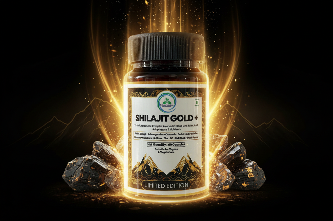 Shilajit Gold+ Energy Hero