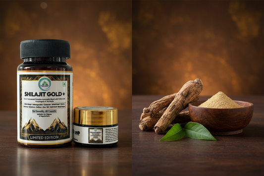 Shilajit vs Ashwagandha: Which Should You Take?