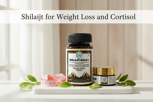 Illustration representing weight management for Shilajit article