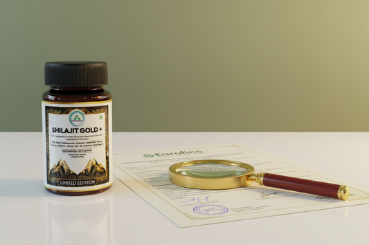 What to Look for When Buying Shilajit Capsules