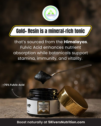 Shilajit Bundle – Capsules & Resin | Save £5