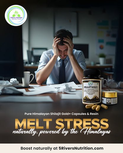 Shilajit Bundle – Capsules & Resin | Save £5