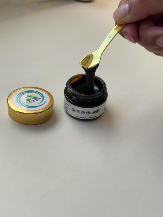 Himalayan Shilajit Resin (20 g) – High‑Fulvic Vegan Blend with Adaptogens & Botanicals